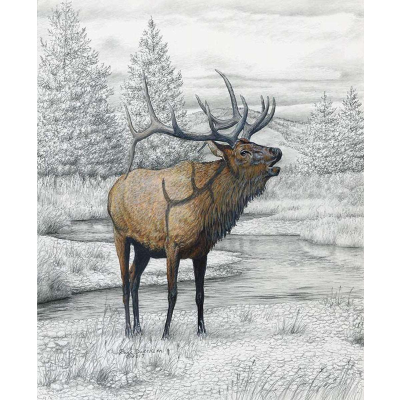 Big Game Elk Pencil Painting Panel Riley Blake Designs