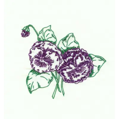 Purple pansies with green leaves in a sketch style from Aunt Martha’s Eight Flowers