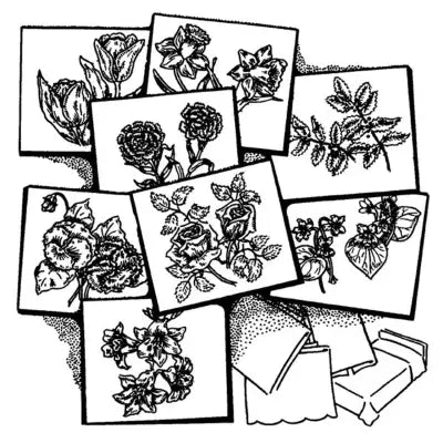 Botanical sketches of eight flowers from Aunt Martha’s 3698 collection