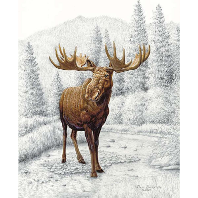 Big Game Moose Pencil Painting Panel Riley Blake Designs