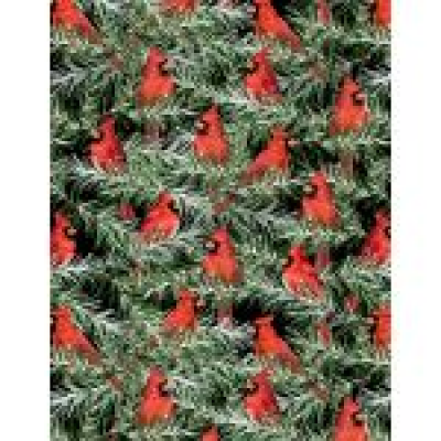Country Cardinals Packed Black Cardinal Collection