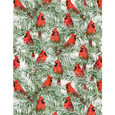 Country Cardinals Packed Light Gray Cardinal Collection