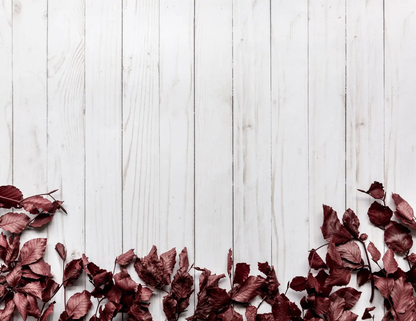 Dried burgundy rose petals scattered along the bottom edge.