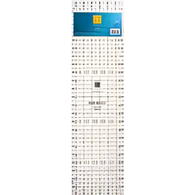 Easy Rule II 6 1/2x24 670141