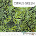 Lustre - Bright Green (Citrus Green) Collection 81221 - 72