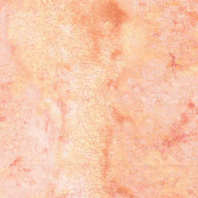 Paintbrush Studios Granite - Peach Fabric 12043316