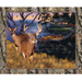 Realtree Lakeside Sunset Panel 10164-PC