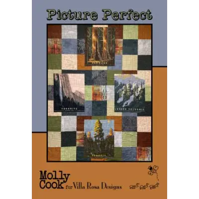 Villa Rosa Designs - Picture Perfect - Post Card Quilt