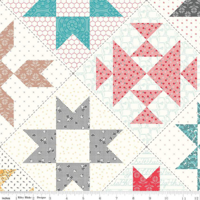Wide Back Stitch Cheater Print Multi 108’ Fabric